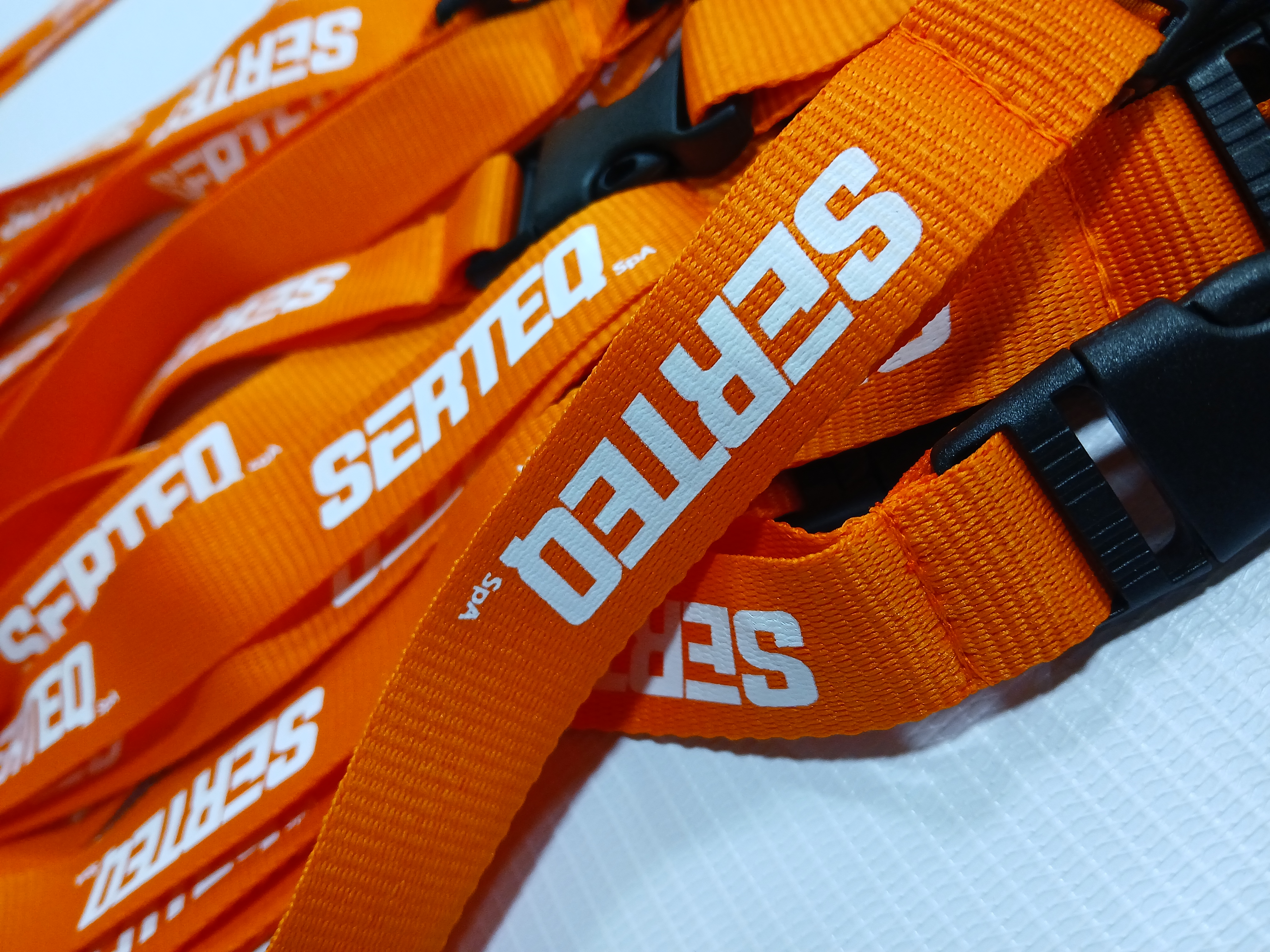 Lanyard